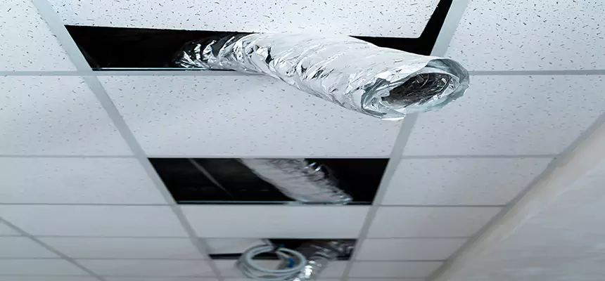 Affordable HVAC Sanitizing After Pest Removal in Kansas City