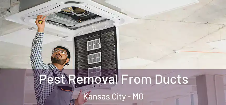  Pest Removal From Ducts Kansas City - MO