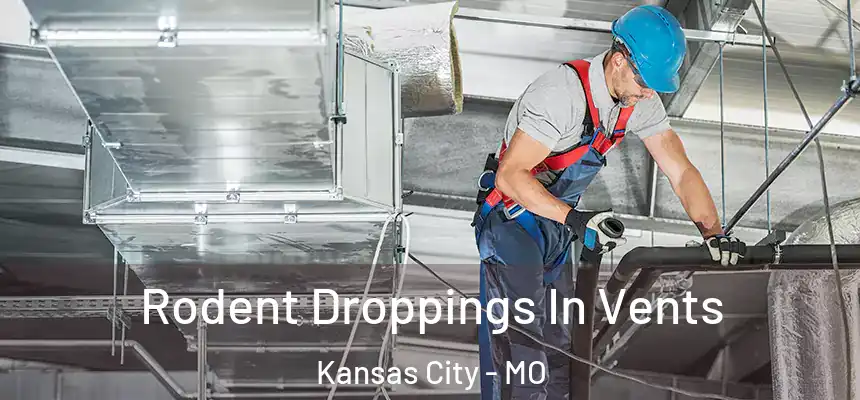  Rodent Droppings In Vents Kansas City - MO