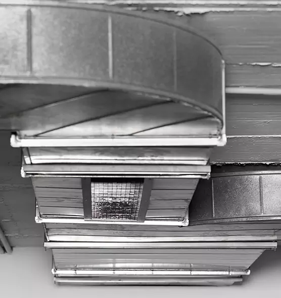 Professional Air Duct Pet Hair Removal in Kansas City, MO